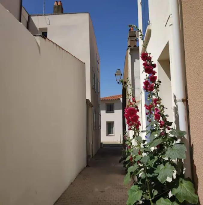 Tiny Studio Terrasse, Hypercentre La Plage A 2 Pas ! Les Sables-d'Olonne Ngoại thất bức ảnh